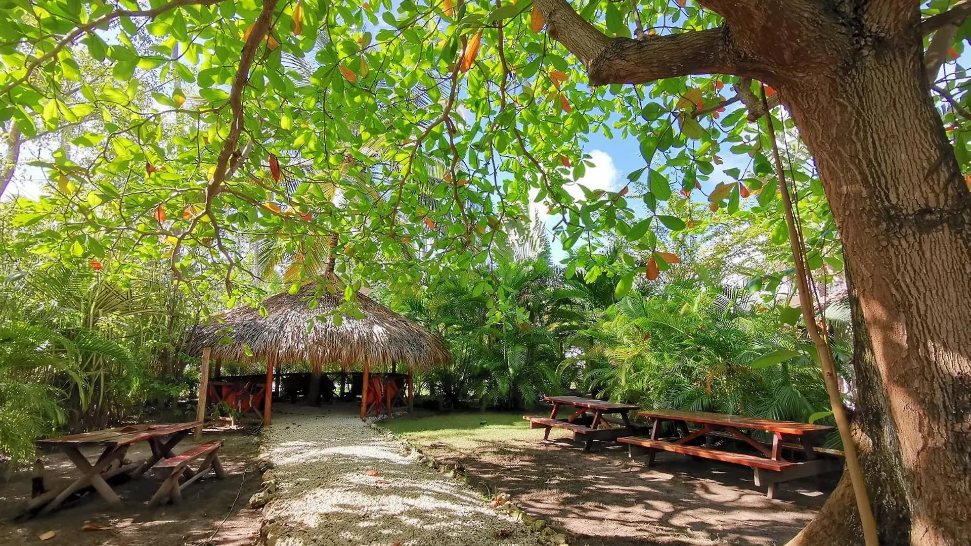 ***** Hotel Deluxe Villas Los Corales Beach & Spa - Best Price For Vacation Rental Punta Cana Dominican Republic